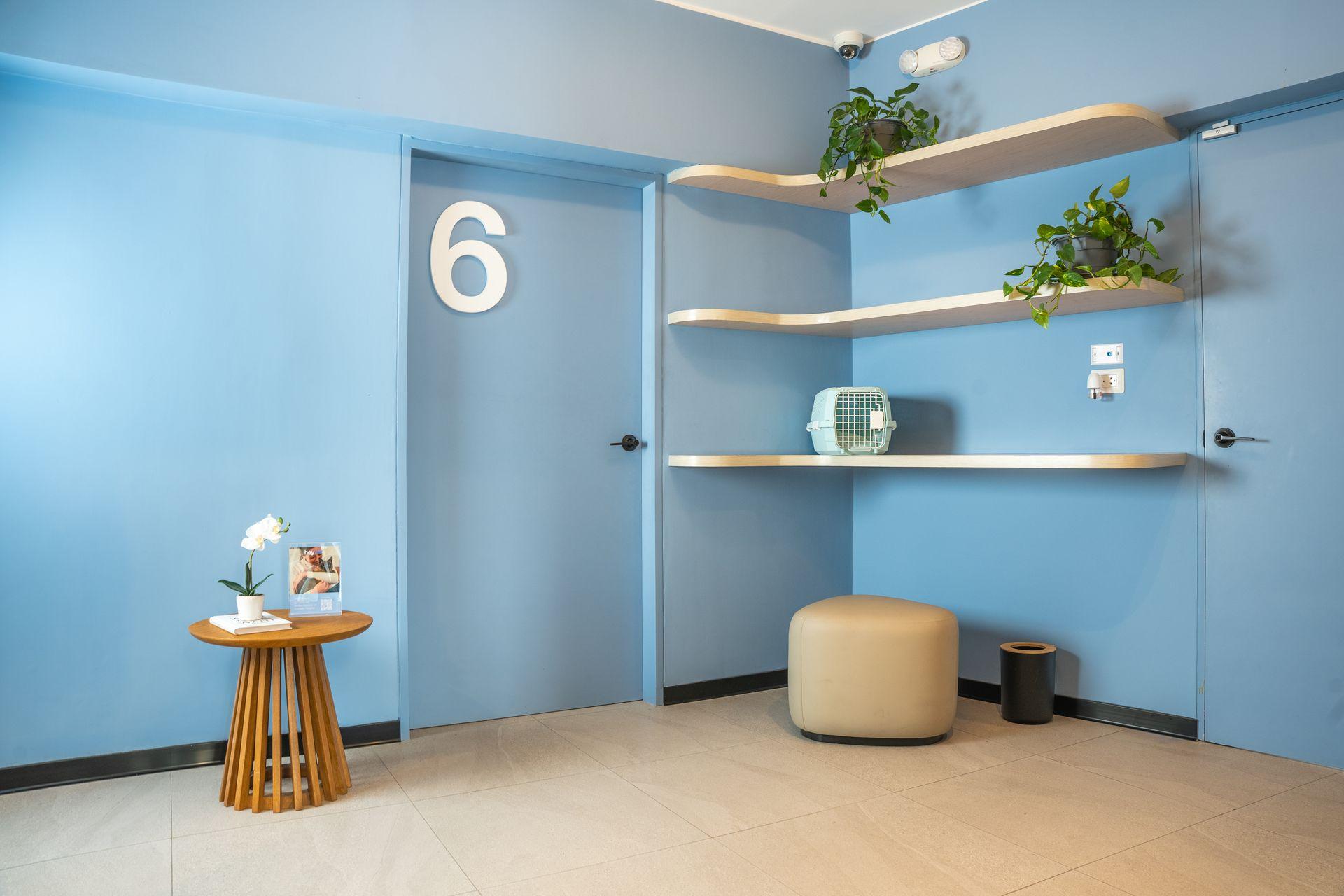 Sala de espera para gatos