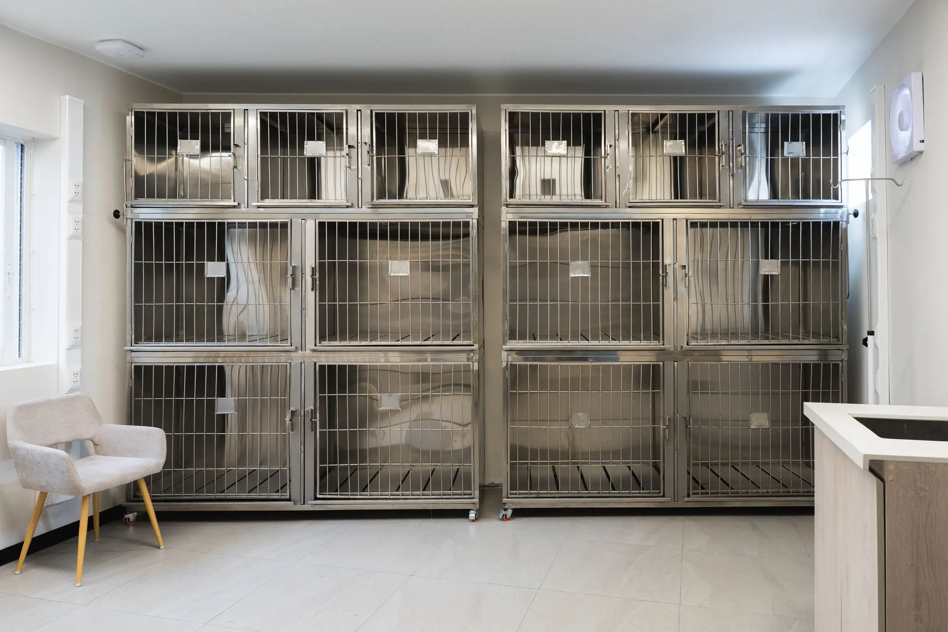 Internamiento de perros