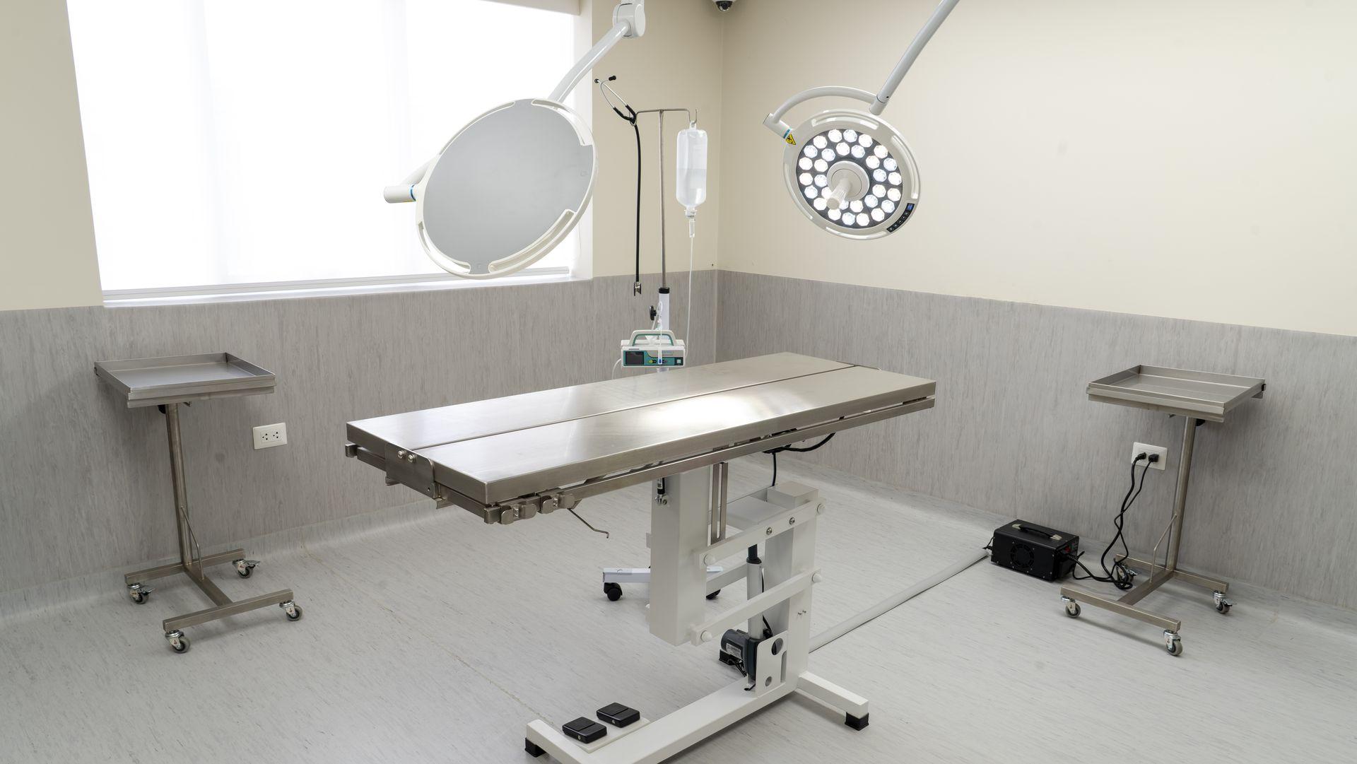 Sala de procedimientos en HeyVet El Polo Sala de procedimientos en HeyVet El Polo