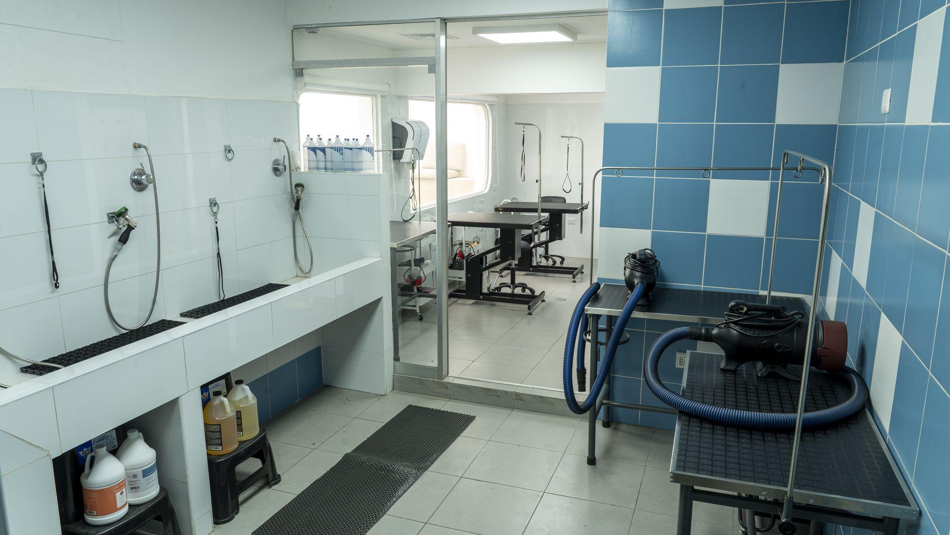 Peluquería canina en HeyVet El Polo Peluquería canina en HeyVet El Polo