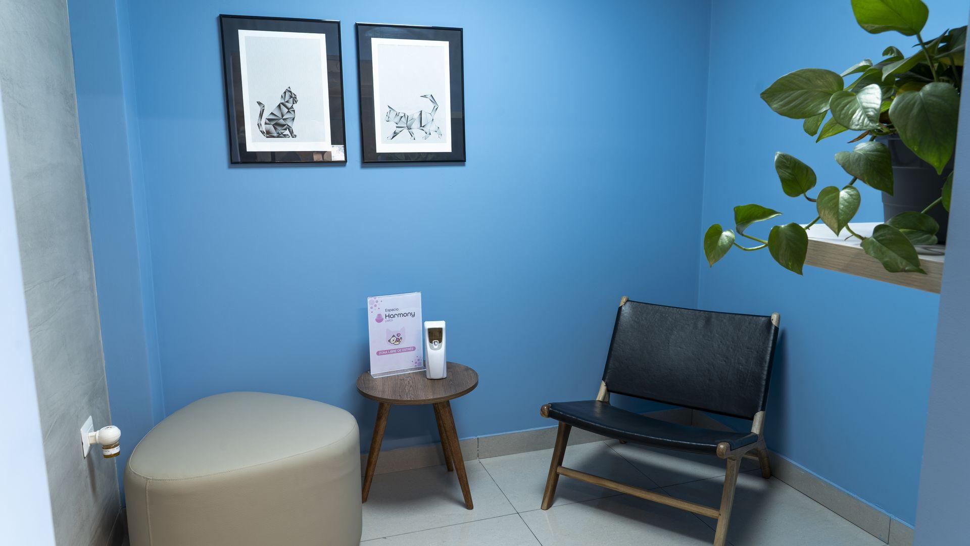 Zona de espera exclusiva para gatos en HeyVet El Polo Sala de espera para gatos