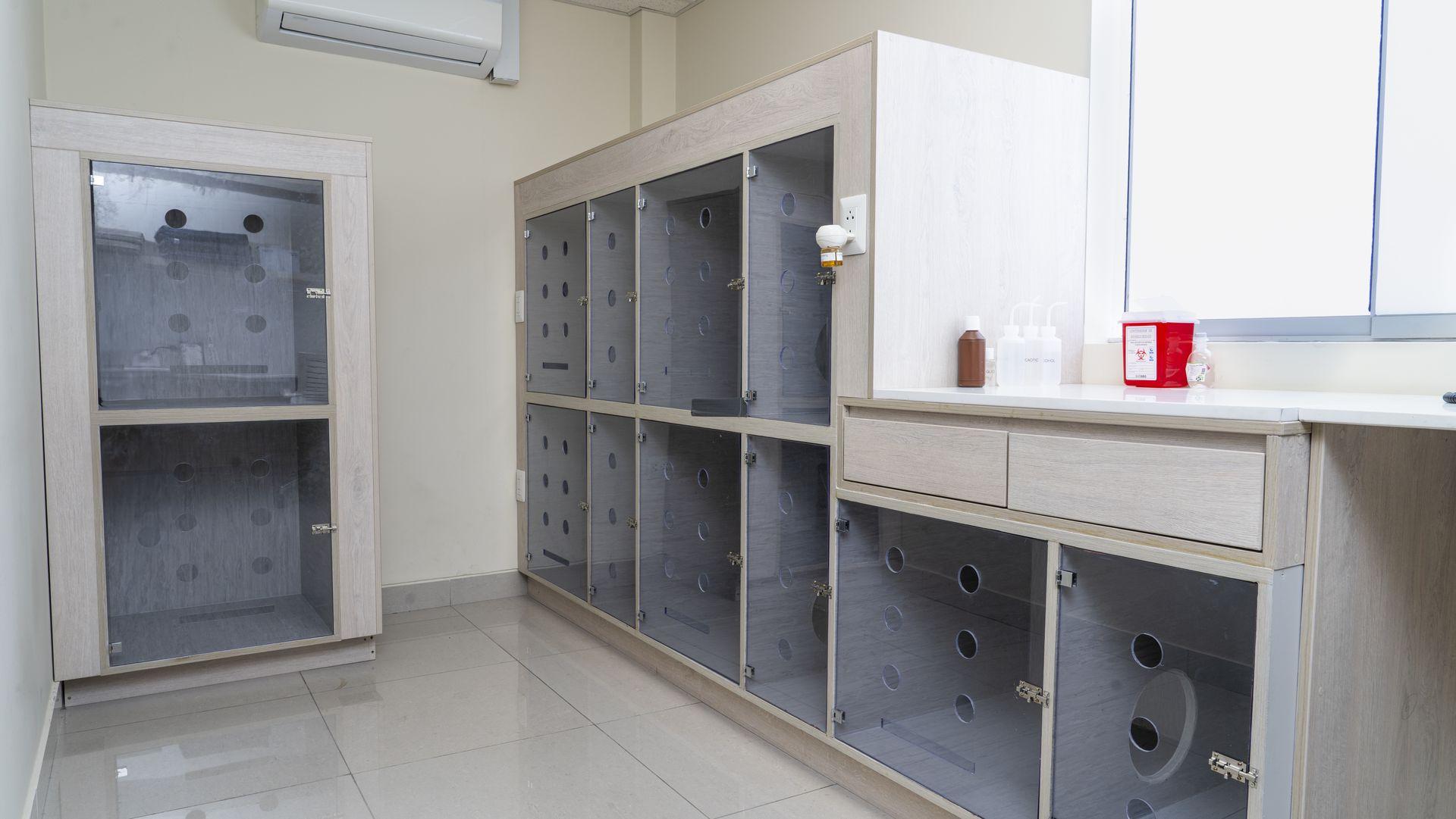 Sala de internamiento para gatos en HeyVet El Polo Sala de internamiento para gatos en HeyVet El Polo