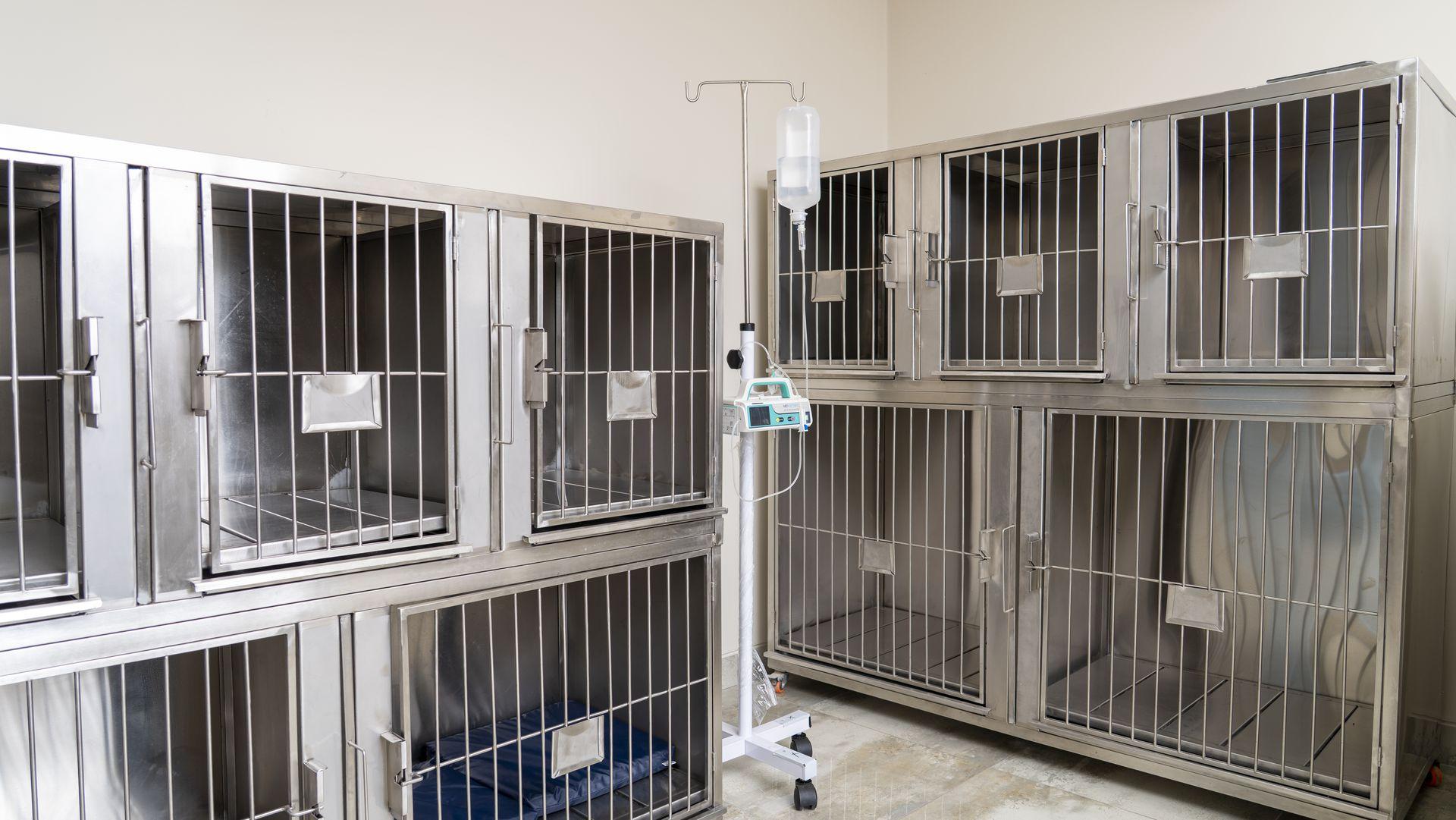 Sala de internamiento para perros HeyVet El Polo Sala de internamiento para perros HeyVet El Polo