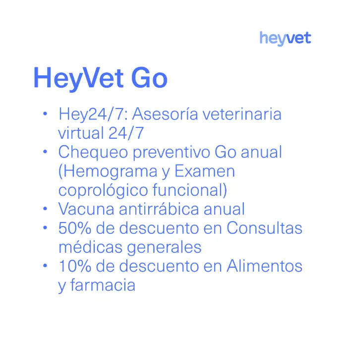 HeyVet Go