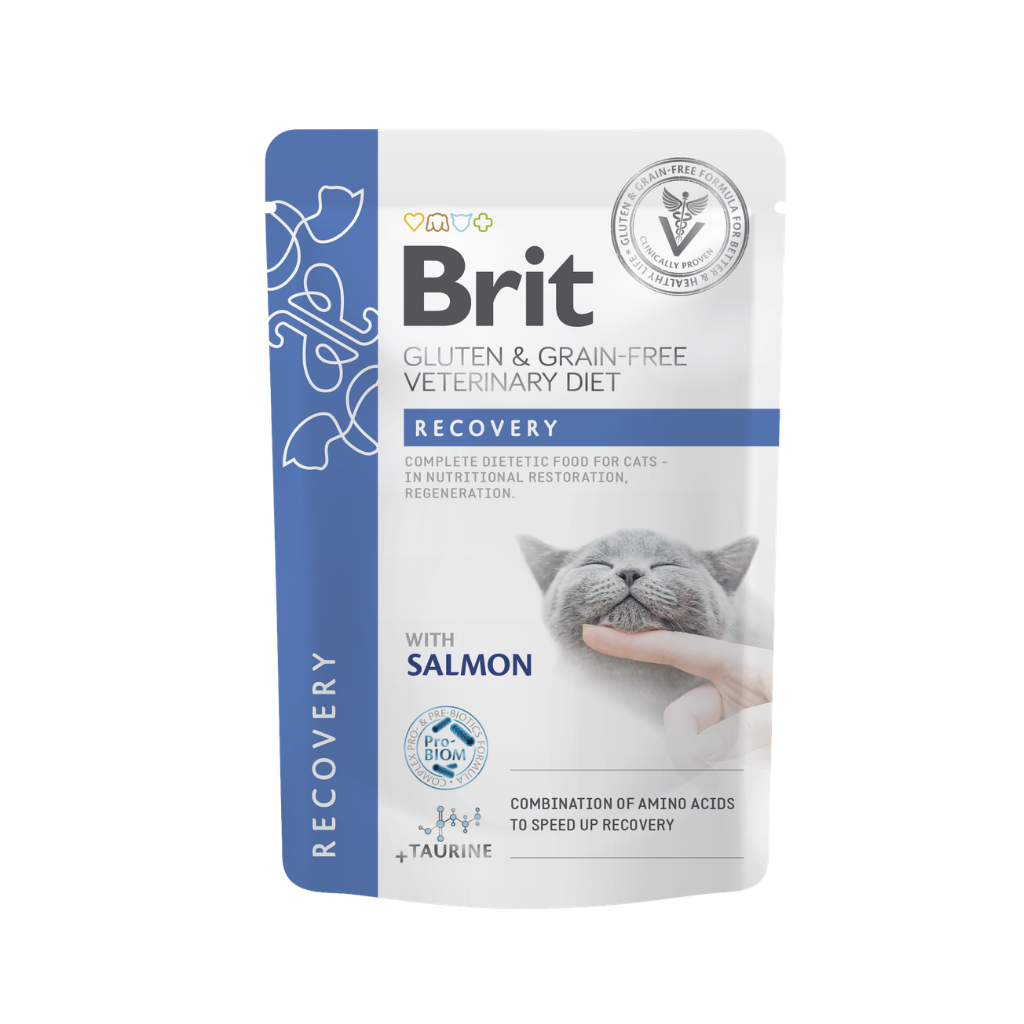Brit GF VD Cat Pouch Fillets in Gravy Recovery 85g-Humedo