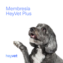 HeyVet Plus IBK