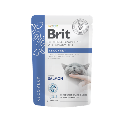 [13252] Brit GF VD Cat Pouch Fillets in Gravy Recovery 85g-Humedo
